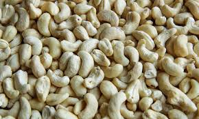 Premium cashew nuts (kaju) dry fruits supplier in Mumbai